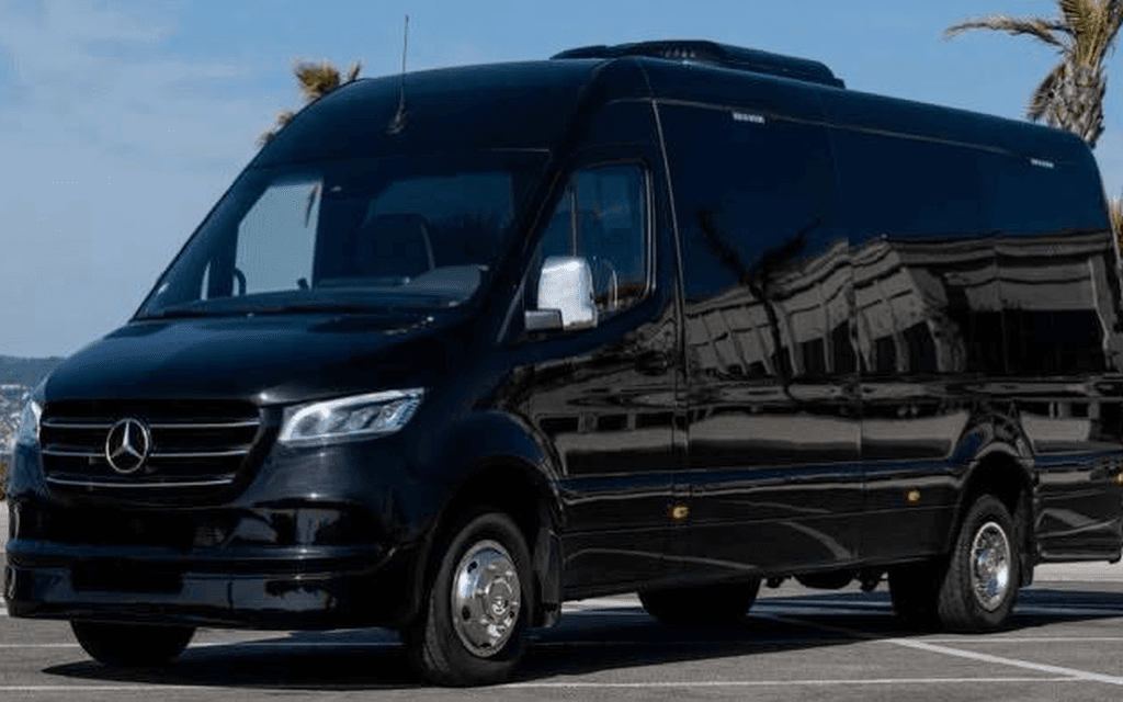 Mercedes Sprinter luxury van private driver — 20 passengers